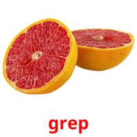 grep picture flashcards