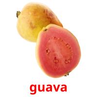 guava Bildkarteikarten