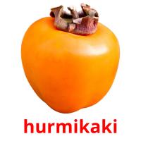hurmikaki cartões com imagens