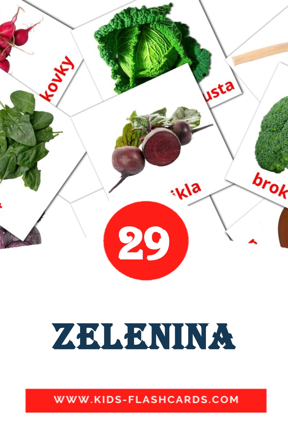 29 Free Vegetables Flashcards in slovak (PDF files)