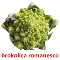 brokolica romanesco карточки энциклопедических знаний