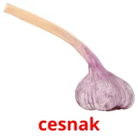 cesnak карточки энциклопедических знаний