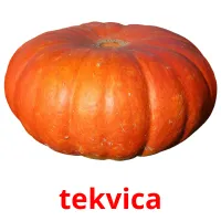 tekvica карточки энциклопедических знаний