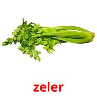 zeler card for translate