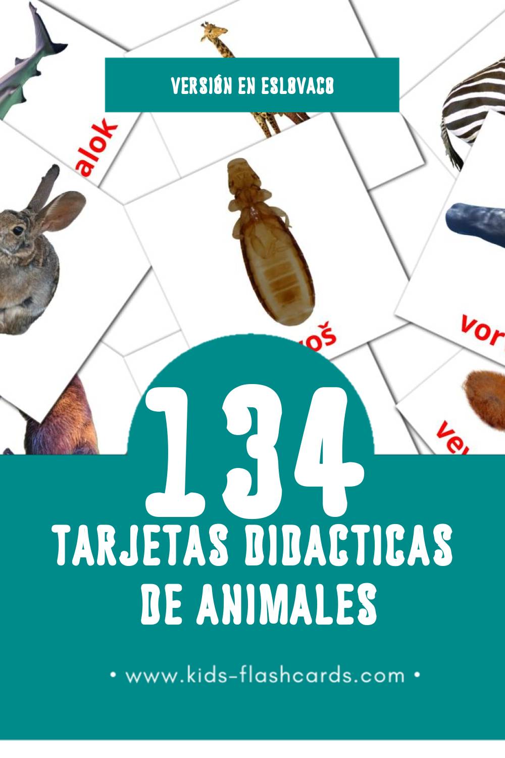 Tarjetas visuales de Zvieratá para niños pequeños (134 tarjetas en Eslovaco)