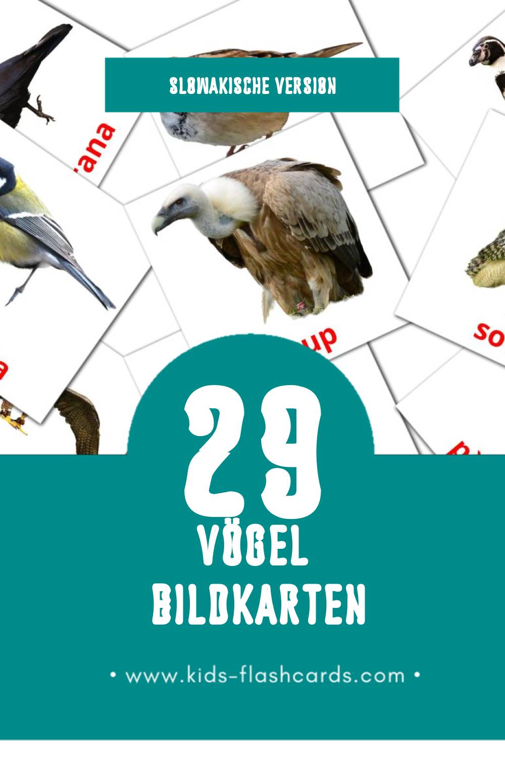 Visual Vtáky Flashcards für Kleinkinder (29 Karten in Slowakisch)