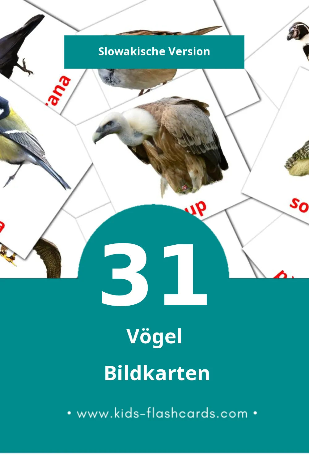 Visual Vtáky Flashcards für Kleinkinder (31 Karten in Slowakisch)