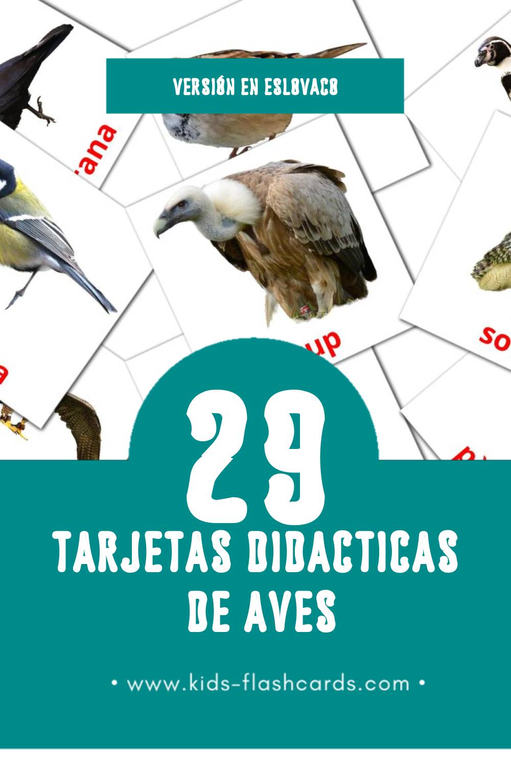 Tarjetas visuales de Vtáky para niños pequeños (29 tarjetas en Eslovaco)