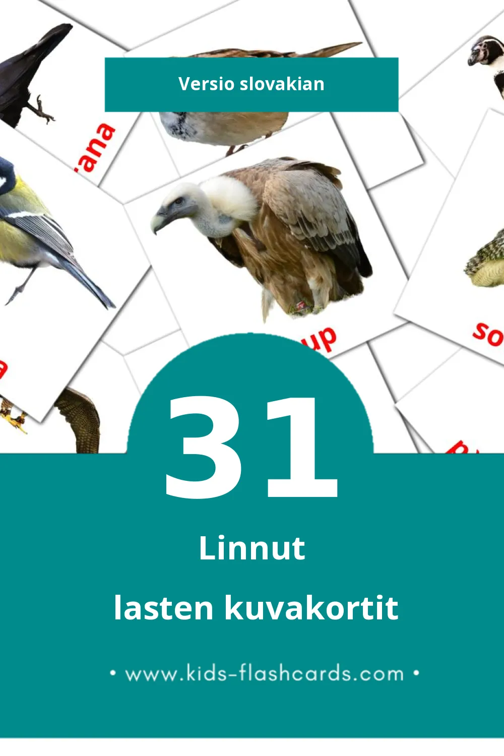 Vtáky lasten kuvakortit pikkulapsille (31 korttia Slovakianksi)