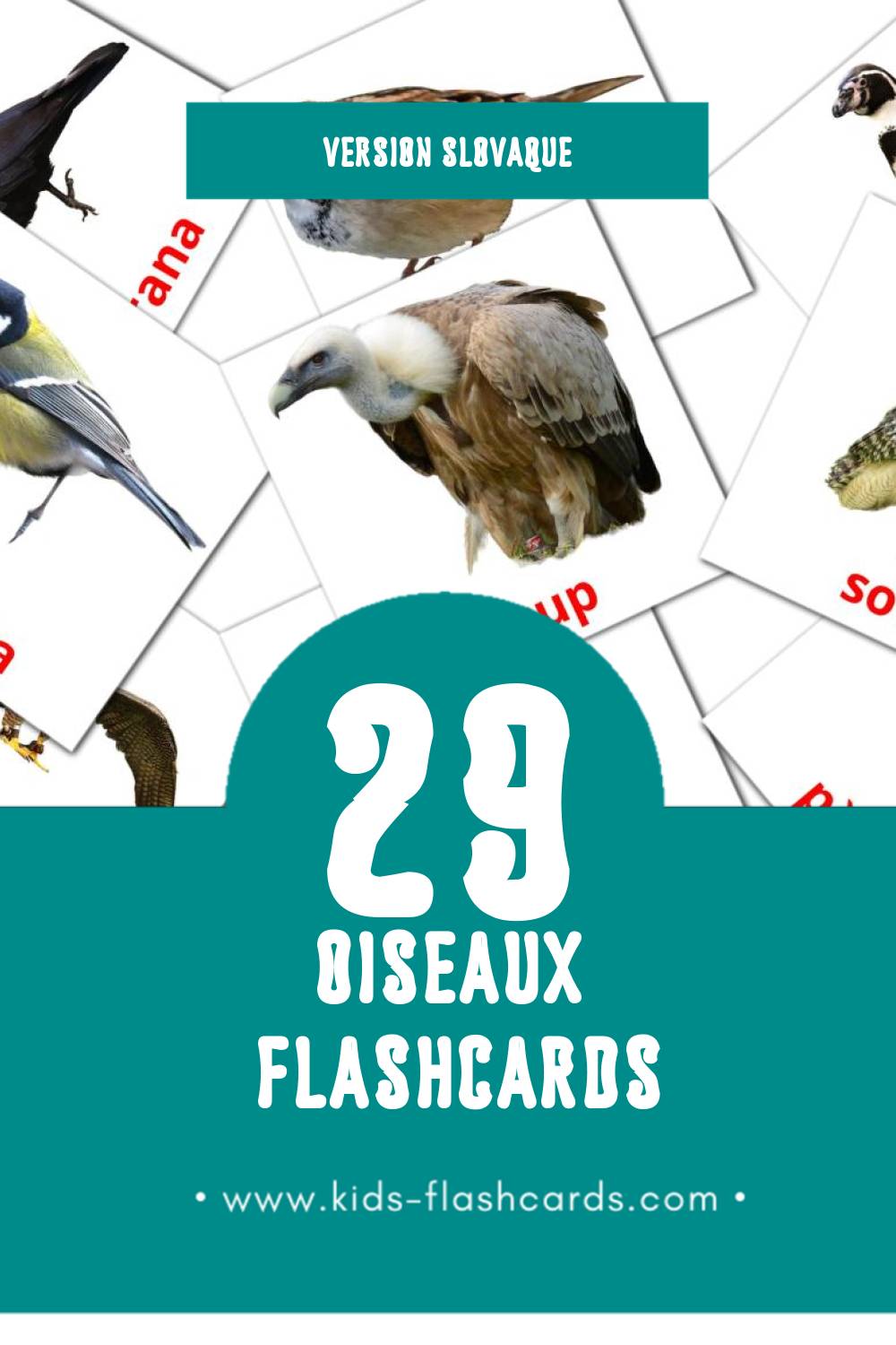 Flashcards Visual Vtáky pour les tout-petits (29 cartes en Slovaque)