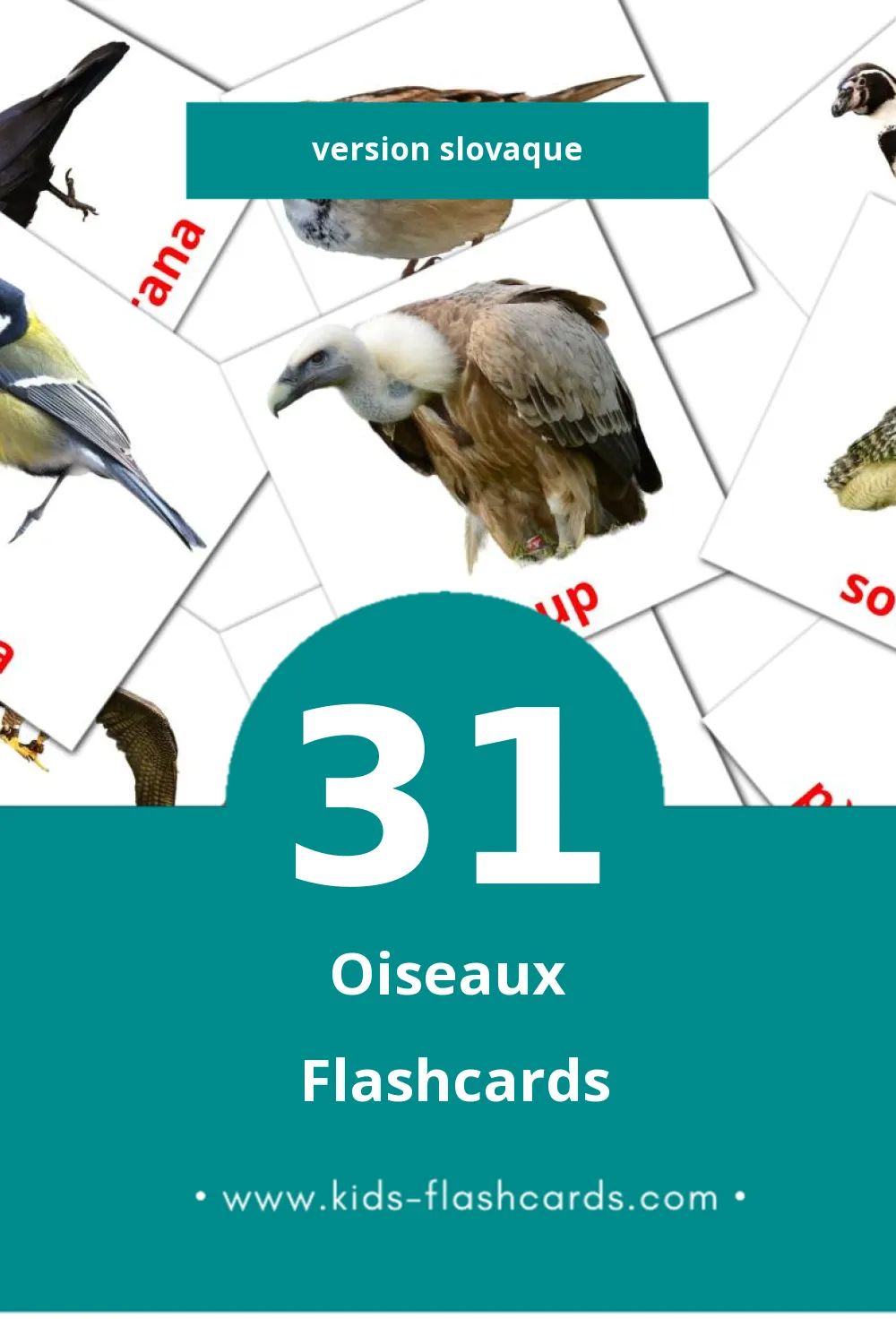 Flashcards Visual Vtáky pour les tout-petits (31 cartes en Slovaque)