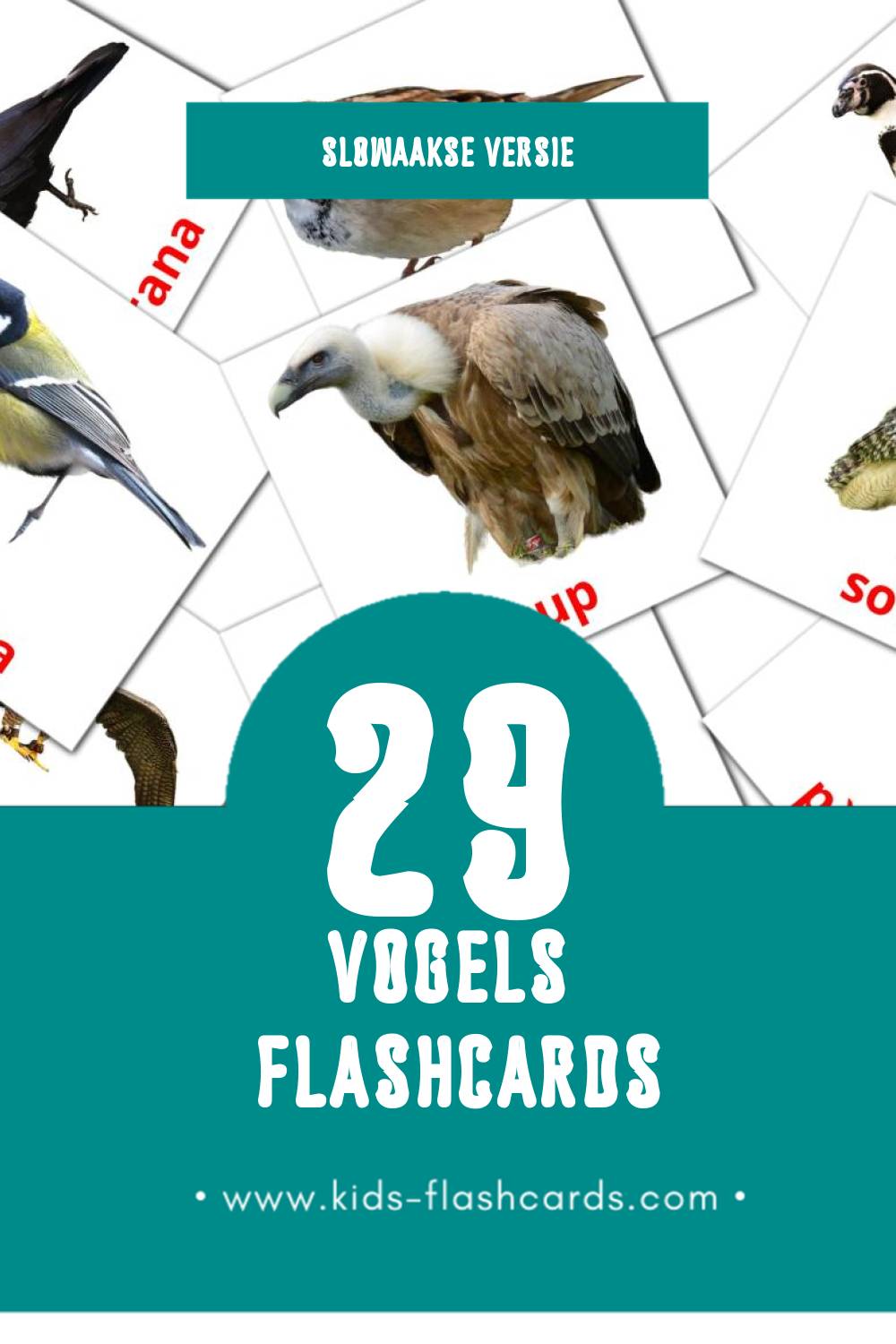 Visuele Vtáky Flashcards voor Kleuters (29 kaarten in het Slowaaks)