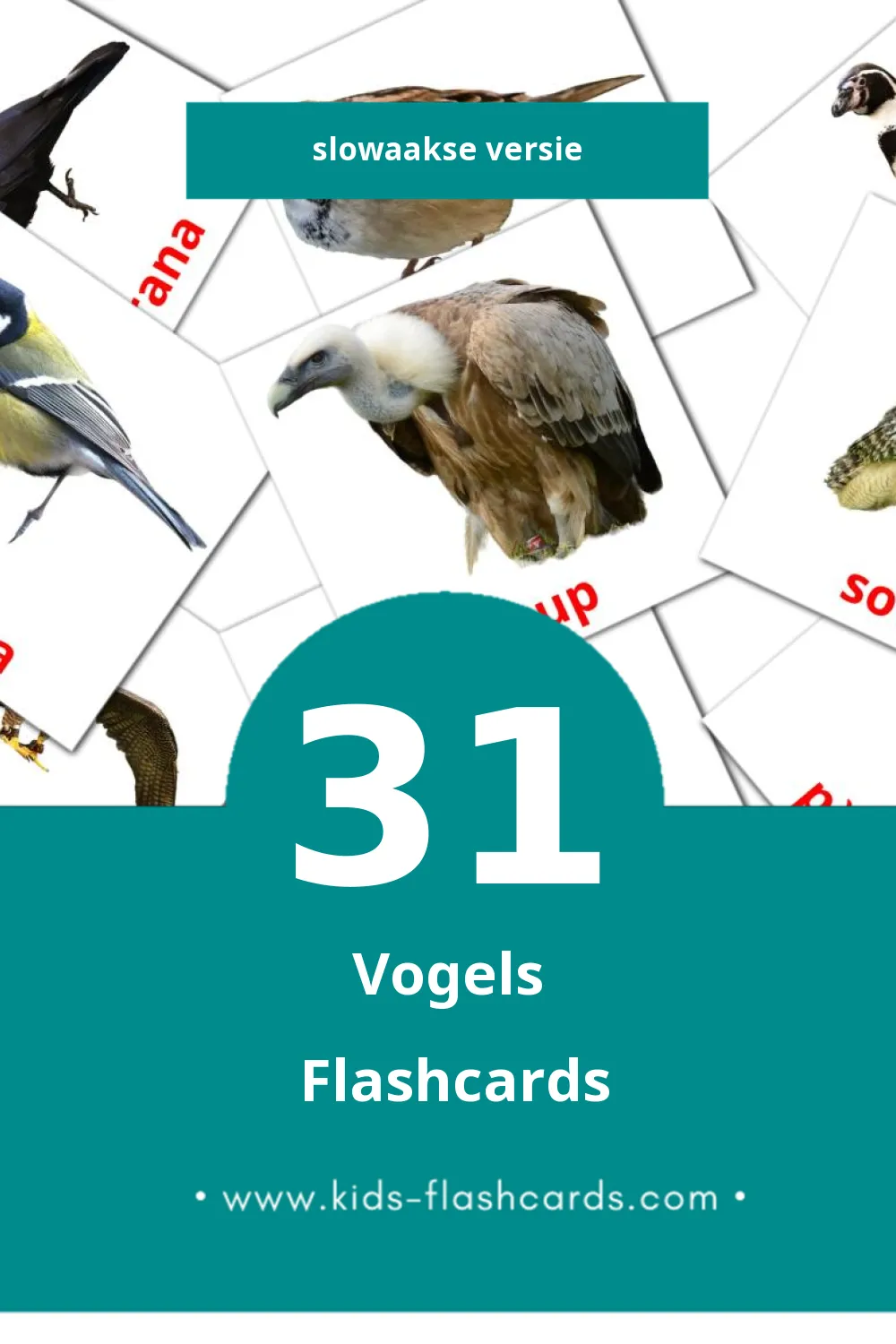 Visuele Vtáky Flashcards voor Kleuters (31 kaarten in het Slowaaks)