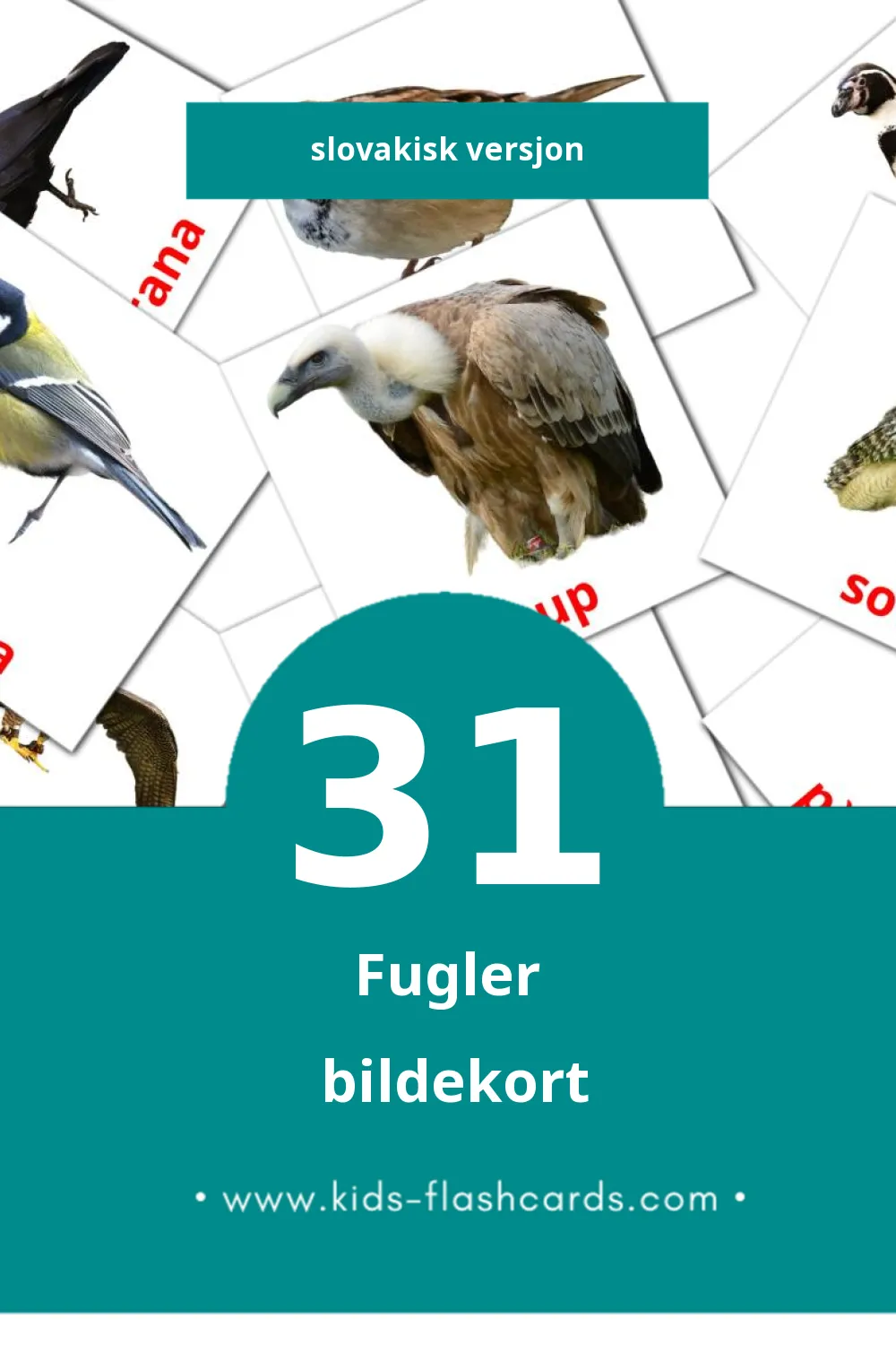 Visuelle Vtáky bildekort for småbarn (31 kort på Slovakisk)