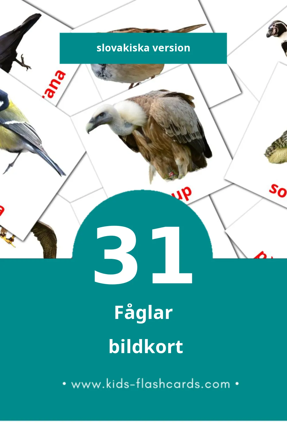 Visuella Vtáky för småbarn (31 bildkort för barn på Slovakiska)