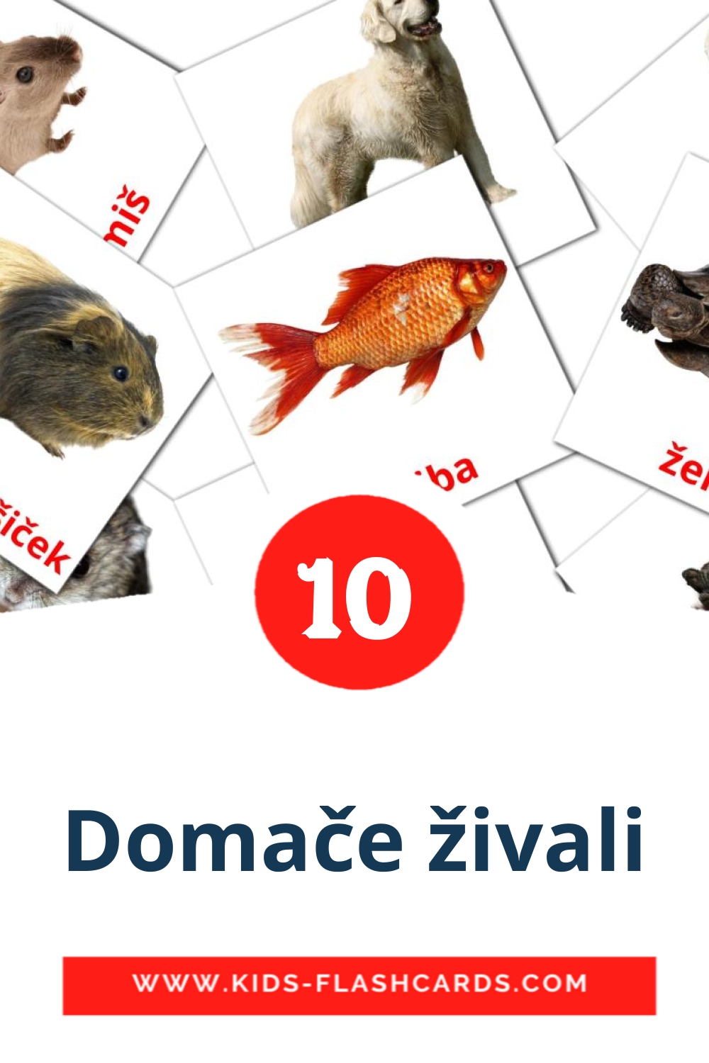 Domače živali на словенском для Детского Сада (10 карточек)