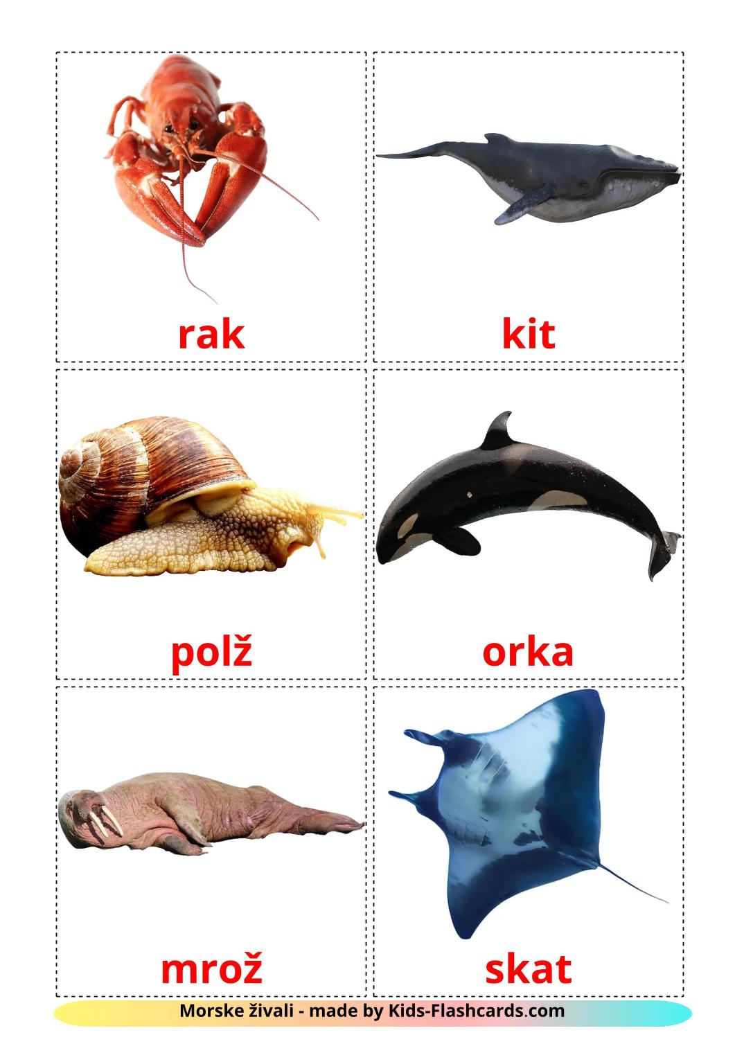 Animais Marinhos - 30 Flashcards slovenianes gratuitos para impressão