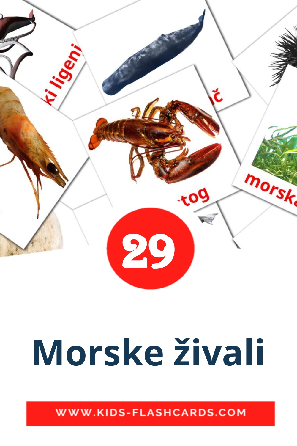 29 cartes illustrées de Morske živali pour la maternelle en slovène