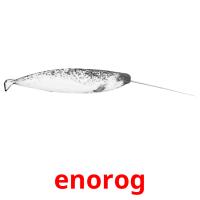 enorog picture flashcards