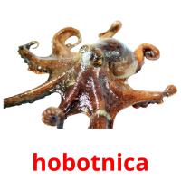 hobotnica card for translate