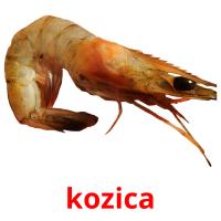 kozica card for translate