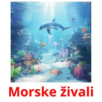 Morske živali cartões com imagens