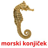 morski konjiček card for translate