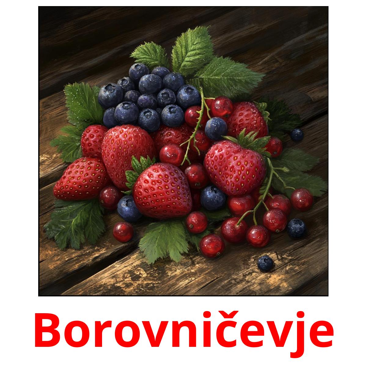 Borovničevje flashcards illustrate