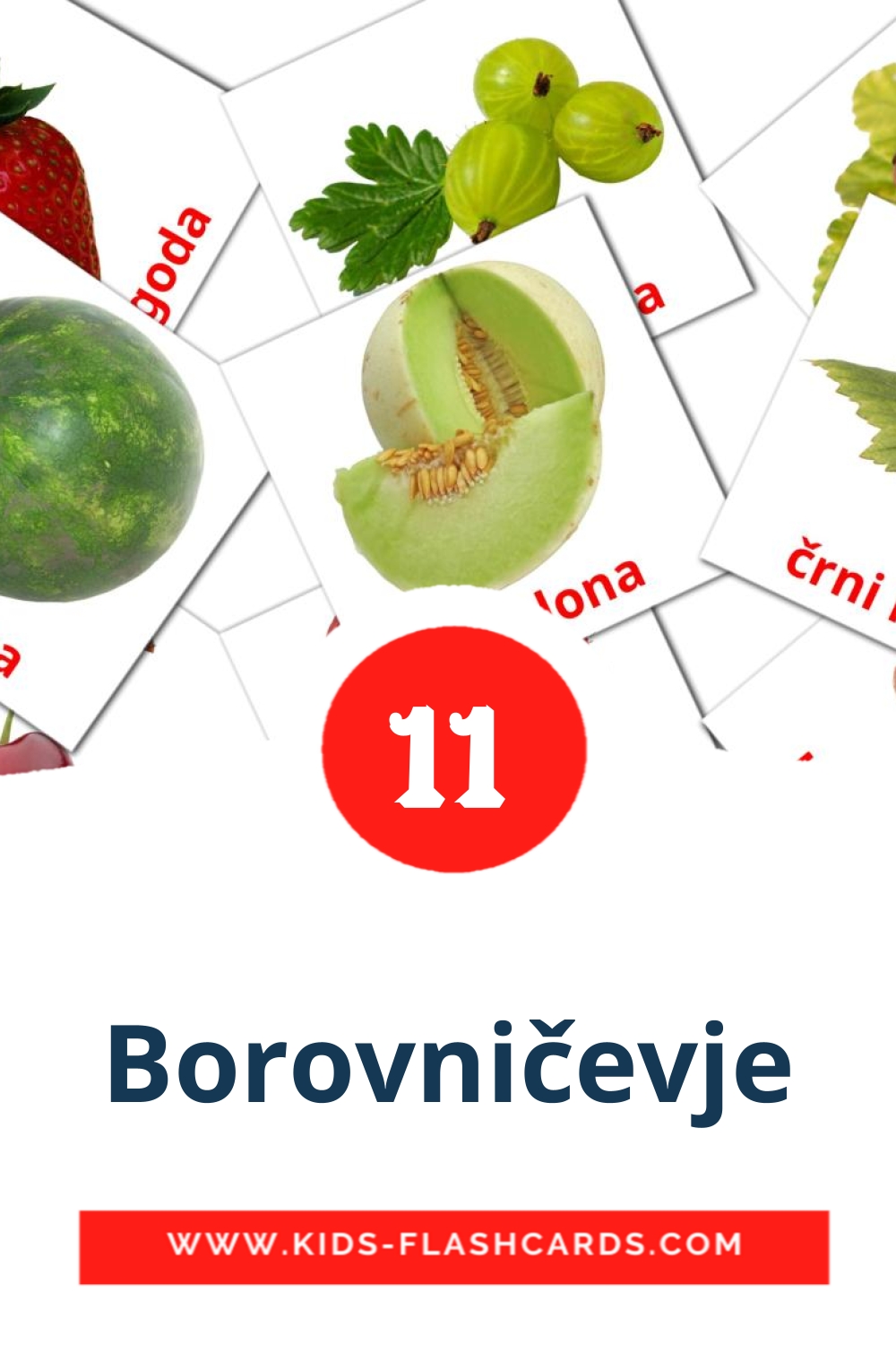 Borovničevje на словенском для Детского Сада (11 карточек)