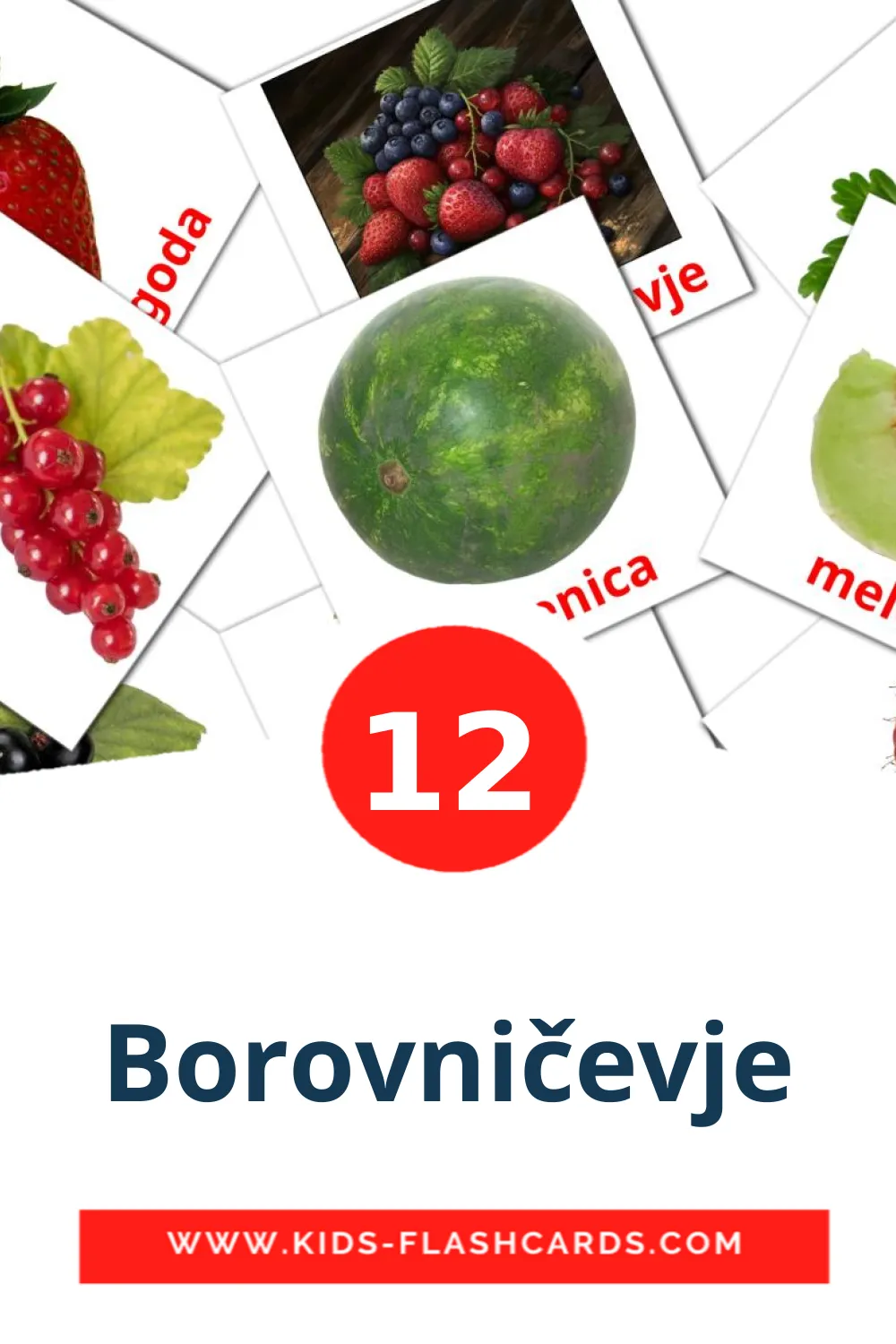 12 carte illustrate di Borovničevje per la scuola materna in sloveno