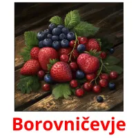 Borovničevje flashcards illustrate