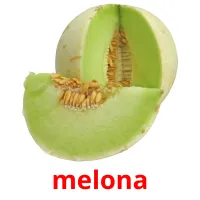 melona flashcards illustrate