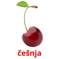 češnja flashcards illustrate