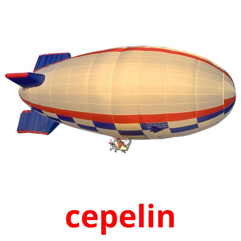 cepelin picture flashcards