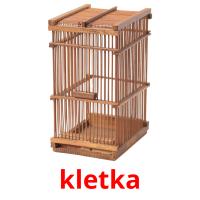 kletka picture flashcards