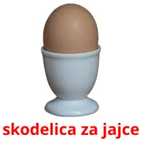 skodelica za jajce ansichtkaarten