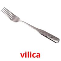vilica picture flashcards
