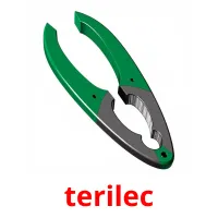 terilec picture flashcards