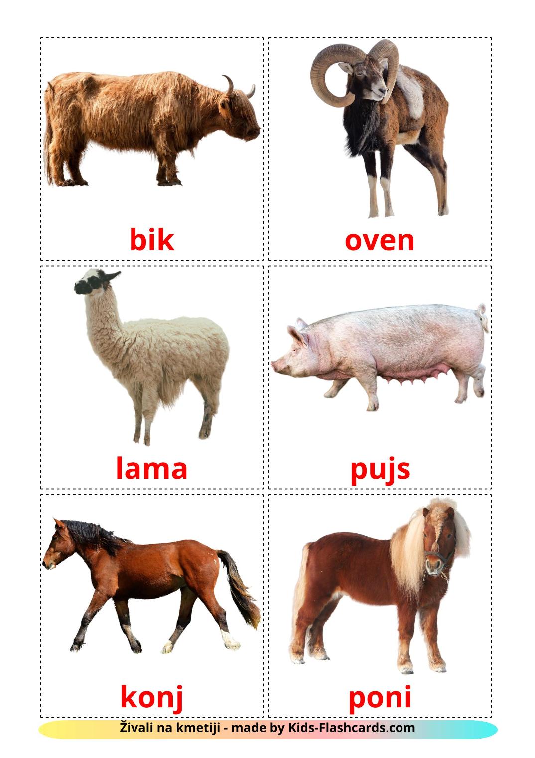 Farm animals - 15 Free Printable slovenian Flashcards 
