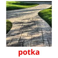 potka picture flashcards