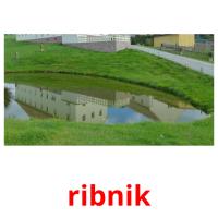 ribnik picture flashcards