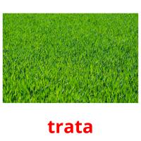 trata picture flashcards