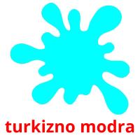 turkizno modra flashcards illustrate