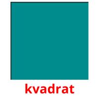 kvadrat flashcards illustrate