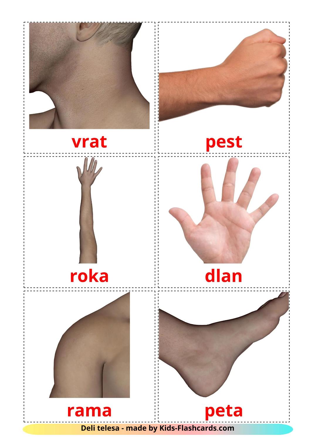 Body Parts - 26 Free Printable slovenian Flashcards 