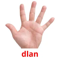 dlan picture flashcards