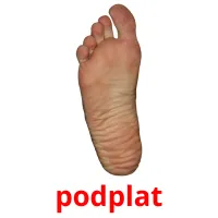 podplat picture flashcards