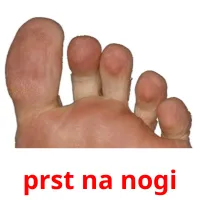 prst na nogi picture flashcards