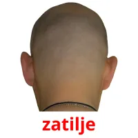 zatilje picture flashcards