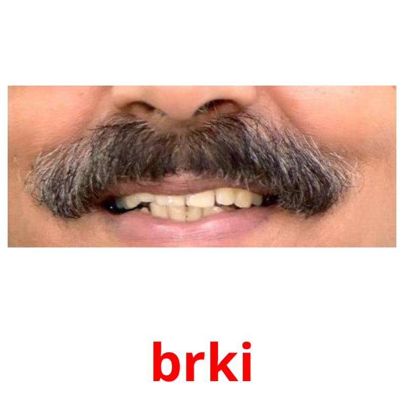 brki picture flashcards